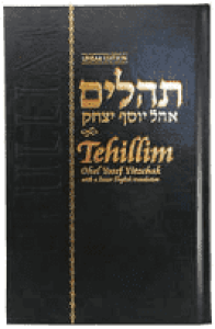 Tehillim Ohel YY with English Soft Cover