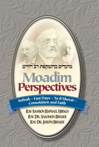 Moadim Perspectives