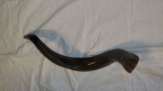 shofar42