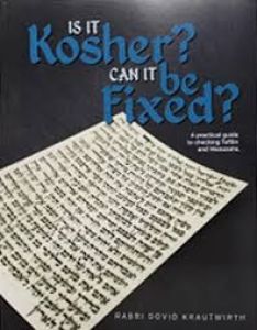 Is It Kosher? Can It Be Fixed? (Paperback)