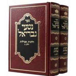 נטעי גבריאל הלכות אבלות ב׳כ – Netai Gavriel Aveilas 2 vol