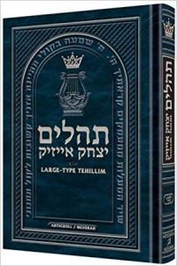 Large Type Tehillim / Psalms Pocket Size [Paperback]