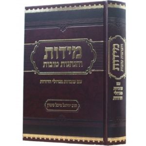 מידות והנהגות – הרב יחיאל מיכל שטרן