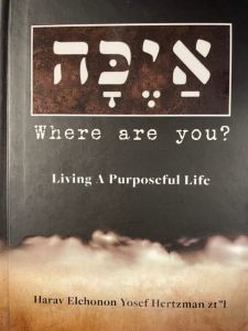 איכה AYEKOH – Where are You? Living a purposeful Life
