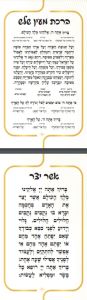 Asher Yatzar & Al Hamichya Double Sided Card Pocket Size 2 3/4 X 4″