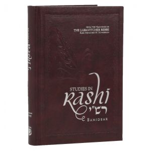 Studies in Rashi – Bamidbar