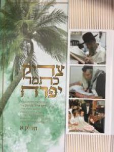 Tzadik Katamar Yifrach צדיק כתמר יפרח, משנתו והנהגתו בקודש של הגרא” ל שטינמן ב” כ