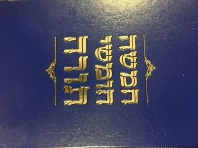 חומש Chumash YDT