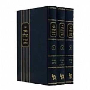 חידושי מהר”ם בנעט-machon yerushalayim-Sabbath-ב