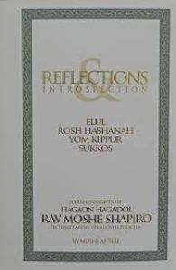 Reflections Introspection – Ellul, Rosh Hashanah, Yom Kippur, Sukkos