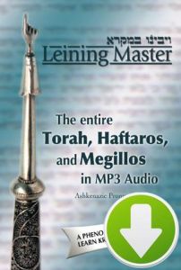 Leining Master MP3 CD