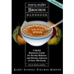 Brochos Handbook sc