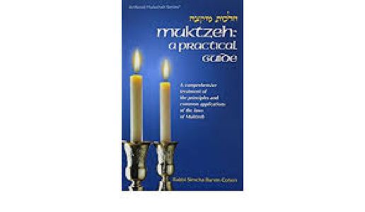 Muktzeh: A Practical Guide