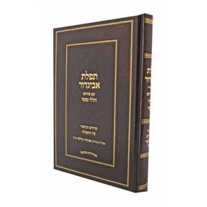 תפילת אביגדור – פירוש הללי נפשי Tefillas Avigdor