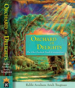 Orchard Of Delights