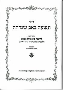תשעה באב שנדחה Laws of Postponed Tisha B’Av