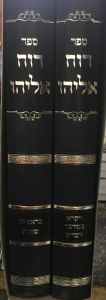 רוח אליהו על תורה ב׳כ RUACH ELIYAHU TORAH