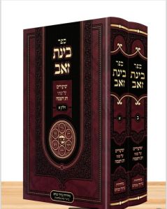 Binas Zev 2 Vol ספר בינת זאב