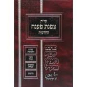 שו׳׳ת צפנת פענח Tzafnas Paneach