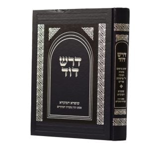 Darash Dovid Moadim Vol 1 דרש דוד מועדים ימים נוראים-פורים