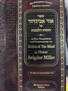 Ohr Avigdor Vol. 8 Shaar Cheshbon Hanefesh