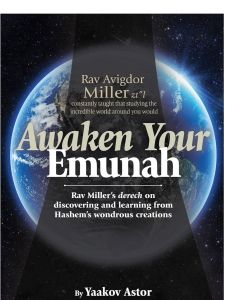 Awaken Your Emunah