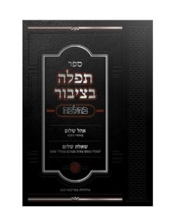 Tefillah Betzibur תפלה בציבור