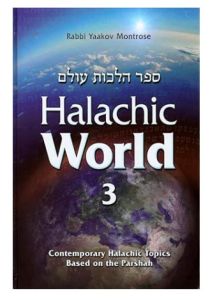 Halachic World, Volume 3