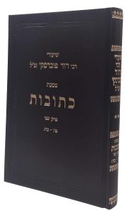 Shiurei Rav Dovid Kesuvos שיעורי רבי דוד פוברסקי כתובות טו:-כח: