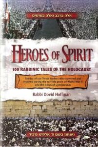 Heroes of Spirit-S/C
