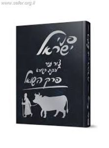 פני ישראל פרק השואל Pnei Yisroel Hashoel