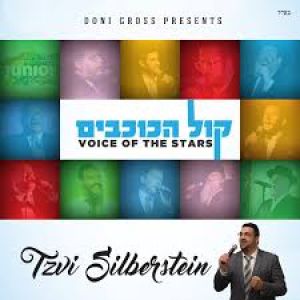 Voice of the Stars Tzvi Silberstein