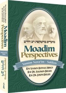 moadim perspectives yamim norim