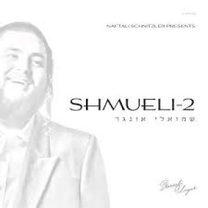 Shmueli 2