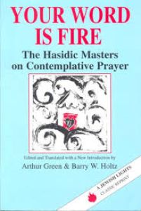 Your Word Is Fire. The Hasidic Masters On Contemplative Prayers.