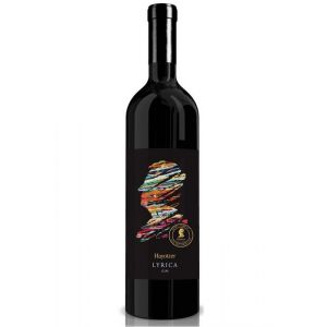 Hayotzer Lyrica GSM 2014