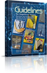 Guidelines: The Magnificent Months 2 vol