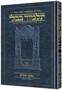 Talmud Hebrew Daf #10- Pesachim Vol 2 (42a-80b)
