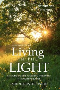 Living in the Light (hardcover)