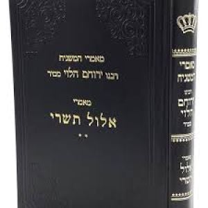 Mamarei Hamashgiach Rav Yeruchom Elul מאמרי המשגיח ר ירוחם אלול תשרי