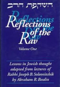 Reflections of the Rav volume 1