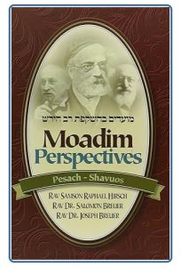 Moadim Perspectives: Pesach – Shavuos