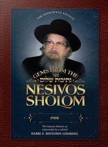 Gems from the Nesivos Sholom Bamidbar
