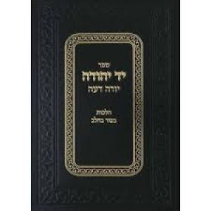 יד יהודה – דם ומליחה