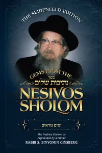 Gems from the Nesivos Shalom: Yamim Noraim