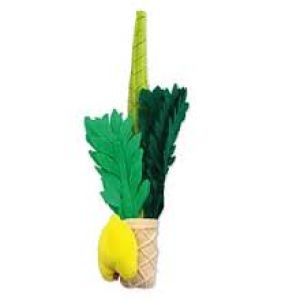 Toy plush lulav and Esrog