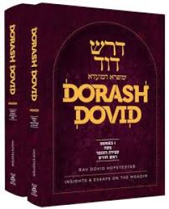 Dorash Dovid: Moadim 2 Volume Set (English) SERIES II