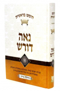 Naeh Doresh Bereishis נאה דורש בראשית