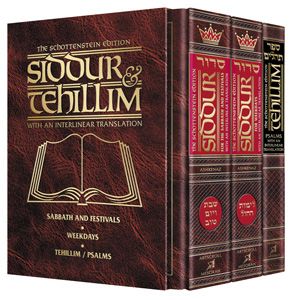 Siddur & Tehillim Interlinear Translation 3 Vol Slipcased Set
