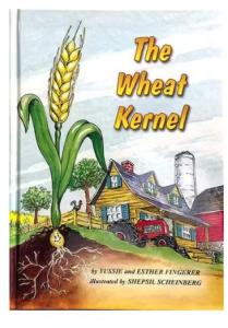 The Wheat Kernel